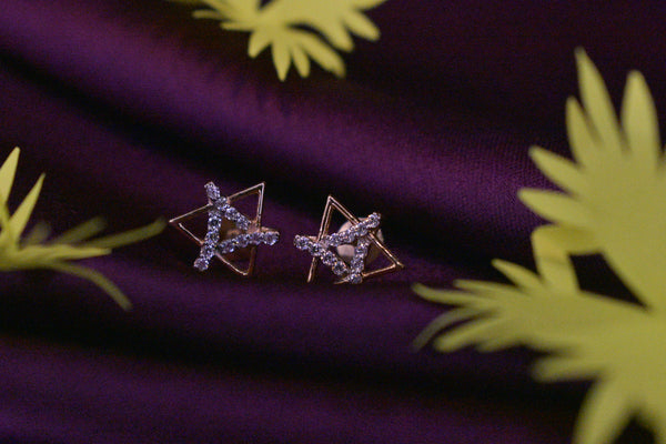 Eria 18K Rose Gold Earrings - T82