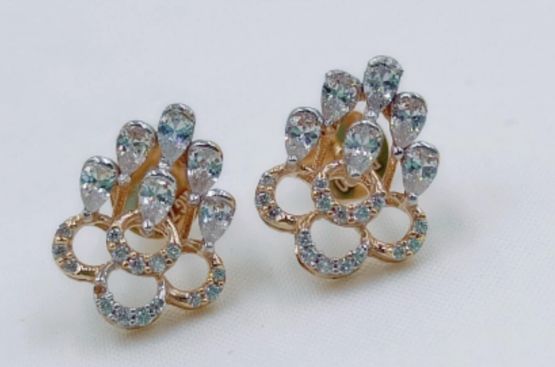 Eria Customised Earrings