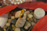 Eria 22K Gold Swarovski Ring - R83